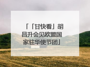 「甘快看」胡昌升会见欧盟国家驻华使节团