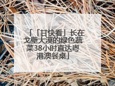 「甘快看」长在戈壁大漠的绿色蔬菜38小时直达粤港澳餐桌