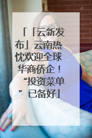 「云新发布」云南热忱欢迎全球华商侨企！“投资菜单”已备好