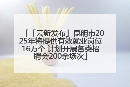 「云新发布」昆明市2025年将提供有效就业岗位16万个 计划开展各类招聘会200余场次