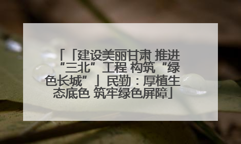 「建设美丽甘肃 推进“三北”工程 构筑“绿色长城”」民勤：厚植生态底色 筑牢绿色屏障