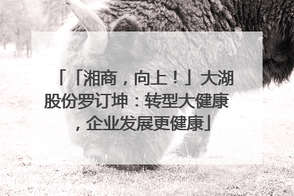 「湘商，向上！」大湖股份罗订坤：转型大健康，企业发展更健康