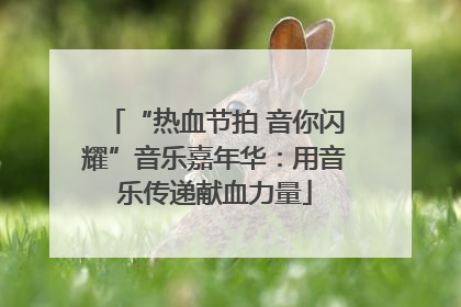 “热血节拍 音你闪耀”音乐嘉年华：用音乐传递献血力量