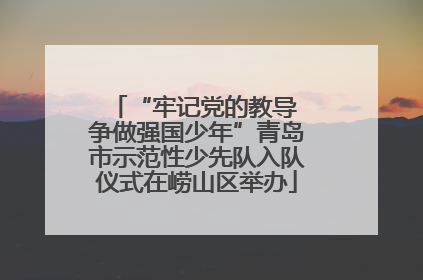 “牢记党的教导 争做强国少年”青岛市示范性少先队入队仪式在崂山区举办