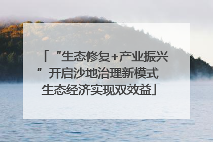 “生态修复+产业振兴”开启沙地治理新模式 生态经济实现双效益