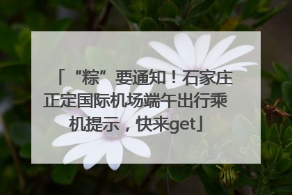 “粽”要通知！石家庄正定国际机场端午出行乘机提示，快来get