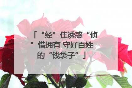 “经”住诱惑“侦”惜拥有 守好百姓的“钱袋子”