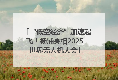 “低空经济”加速起飞！杨浦亮相2025世界无人机大会