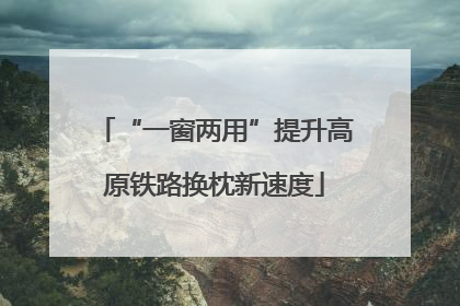 “一窗两用”提升高原铁路换枕新速度