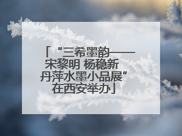 “三希墨韵——宋黎明 杨稳新 丹萍水墨小品展”在西安举办
