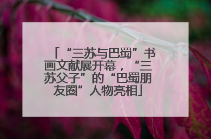 “三苏与巴蜀”书画文献展开幕，“三苏父子”的“巴蜀朋友圈”人物亮相