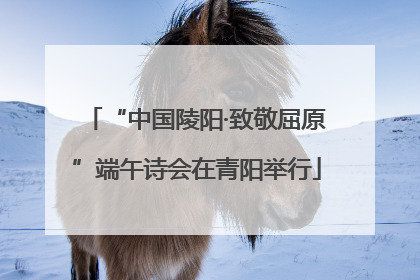 “中国陵阳·致敬屈原”端午诗会在青阳举行