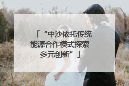 “中沙依托传统能源合作模式探索多元创新”