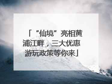 “仙境”亮相黄浦江畔，三大优惠游玩政策等你来