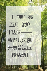 “典”亮五月 守护半边天——新野县法院开展普法宣传活动