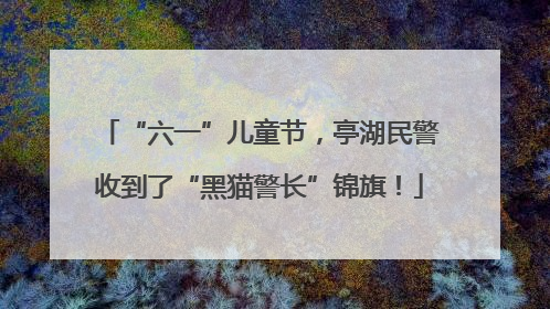 “六一”儿童节，亭湖民警收到了“黑猫警长”锦旗！