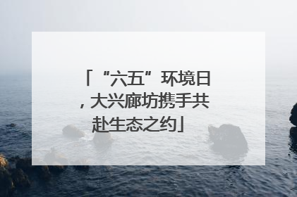 “六五”环境日，大兴廊坊携手共赴生态之约