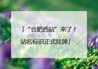 “合肥西站”来了！站名标识正式挂牌