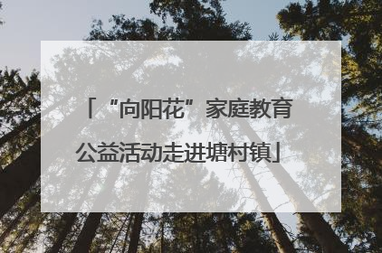 “向阳花”家庭教育公益活动走进塘村镇