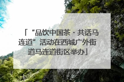 “品饮中国茶・共话马连道”活动在西城广外街道马连道街区举办