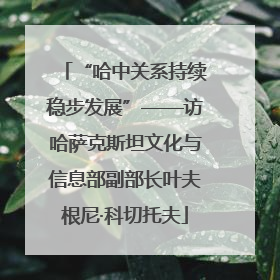“哈中关系持续稳步发展”——访哈萨克斯坦文化与信息部副部长叶夫根尼·科切托夫