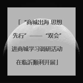 “商城出海 思想先行”——“双会”进商城学习调研活动在临沂顺利开展