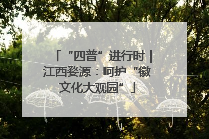 “四普”进行时｜江西婺源：呵护“徽文化大观园”