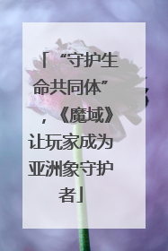 “守护生命共同体”，《魔域》让玩家成为亚洲象守护者