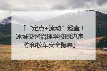 “定点+流动”巡查！冰城交警治理学校周边违停和校车安全隐患