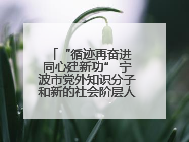 “循迹再奋进 同心建新功” 宁波市党外知识分子和新的社会阶层人士、归国留学人员走进宁波舟山港穿山港区