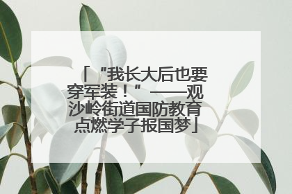 “我长大后也要穿军装！”——观沙岭街道国防教育点燃学子报国梦