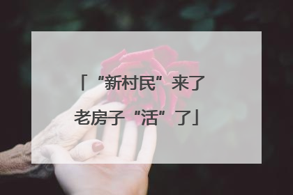 “新村民”来了 老房子“活”了