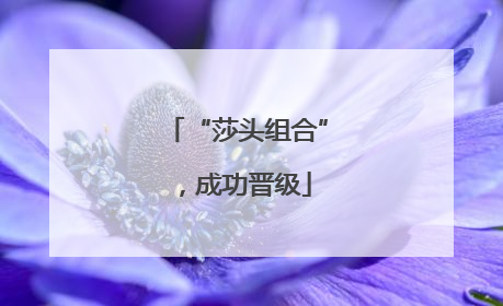 “莎头组合”，成功晋级