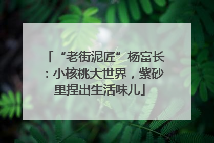 “老街泥匠”杨富长：小核桃大世界，紫砂里捏出生活味儿