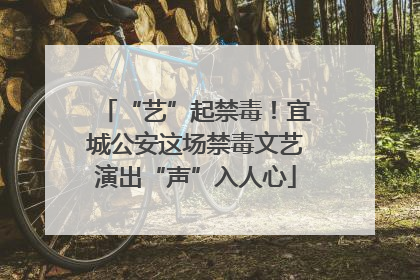“艺”起禁毒！宜城公安这场禁毒文艺演出“声”入人心