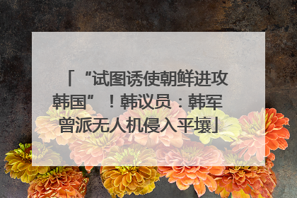 “试图诱使朝鲜进攻韩国”！韩议员：韩军曾派无人机侵入平壤
