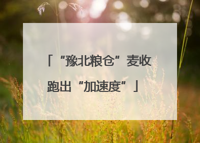 “豫北粮仓”麦收跑出“加速度”