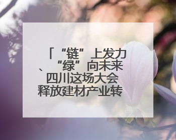 “链”上发力、“绿”向未来 四川这场大会释放建材产业转型升级新动能
