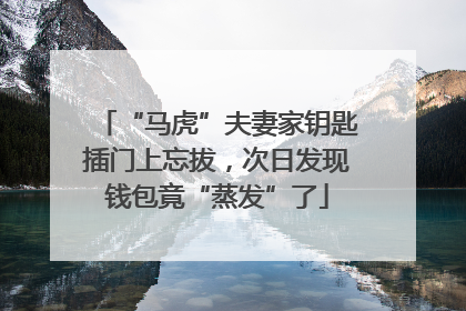“马虎”夫妻家钥匙插门上忘拔，次日发现钱包竟“蒸发”了