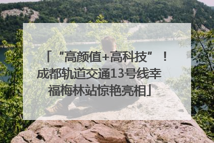 “高颜值+高科技”！成都轨道交通13号线幸福梅林站惊艳亮相