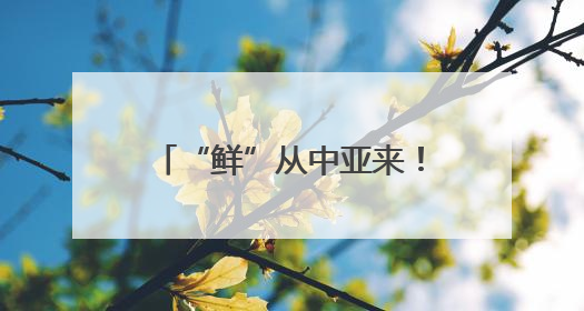 “鲜”从中亚来！浙江迎来首批乌兹别克斯坦鲜樱桃
