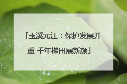 玉溪元江：保护发展并重 千年梯田展新颜