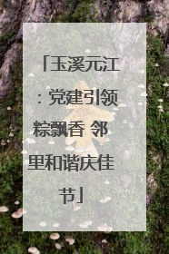 玉溪元江：党建引领粽飘香 邻里和谐庆佳节