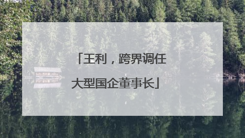 王利，跨界调任大型国企董事长
