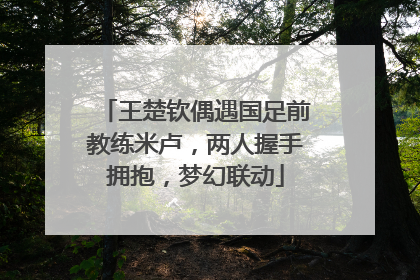 王楚钦偶遇国足前教练米卢，两人握手拥抱，梦幻联动