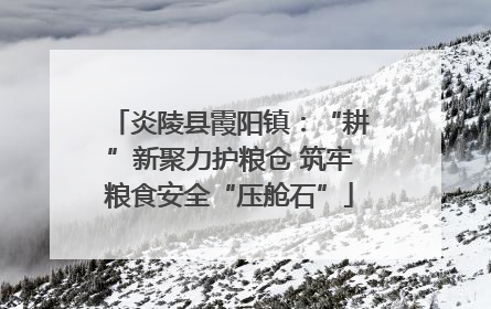 炎陵县霞阳镇：“耕”新聚力护粮仓 筑牢粮食安全“压舱石”