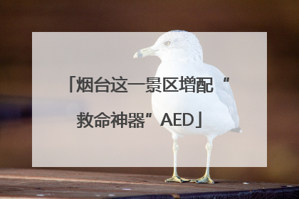 烟台这一景区增配“救命神器”AED