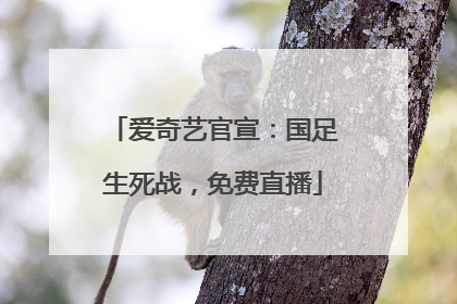爱奇艺官宣：国足生死战，免费直播