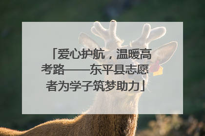爱心护航，温暖高考路——东平县志愿者为学子筑梦助力