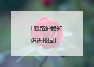 爱路护路知识进校园